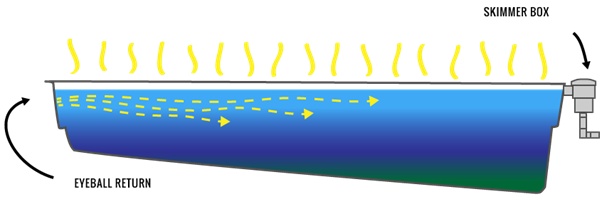 Circulation for Clean and Healthy pool - Traditional pool